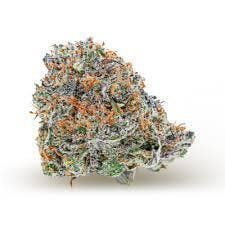 Jokerz Candy #3 | Craft Hydroponic | Bulk Flower