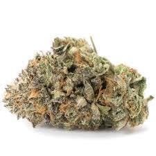 OG Moon King | BAMN | Bulk Flower