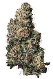 Pink Runtz | Society C | Bulk Flower