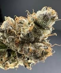 Mochi Melon | Freedom Green Farms | Bulk Flower