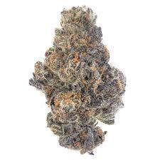 Purple Milk | Freedom Green Farms | Bulk Flower