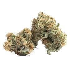 Lemon Truffle | Freedom Green Farms | Bulk Flower