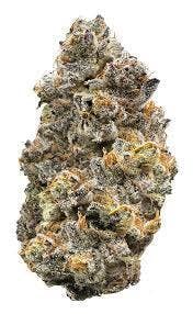 Laughing Gas | Freedom Green Farms | Bulk Flower