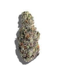 Biker Kush | Common Citizen | Bulk Flower