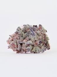 Watermelon Mimosa Smalls | Freedom Green Farms | Bulk Flower