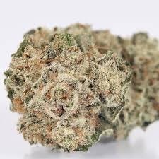 Durban Mintz | Freedom Green Farms | Bulk Flower