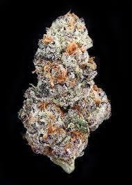 Reeces Riot | Freedom Green Farms | Bulk Flower