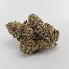 Fresh Squeezed | Freedom Green | Bulk Flower