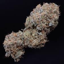 Candy House | Freedom Green | Bulk Flower
