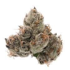 Rainy Cakes | Freedom Green Farms | Bulk Flower