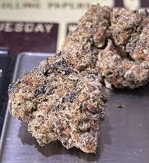 Biscotti Runtz | Grown Rogue | Bulk Flower