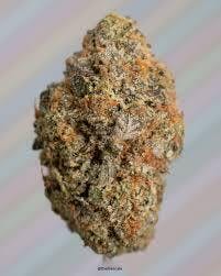 Pink Perfume | Craft Hydroponic | Bulk Flower
