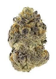 La Rosa | Freedom Green Farms | Bulk Flower
