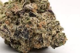 Strawberry Zoap | Freedom Green Farms | Bulk Flower
