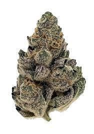 The Don Mega | Common Citizen | Bulk Flower