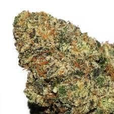 ZOAP | Flwr Pot | Bulk Flower