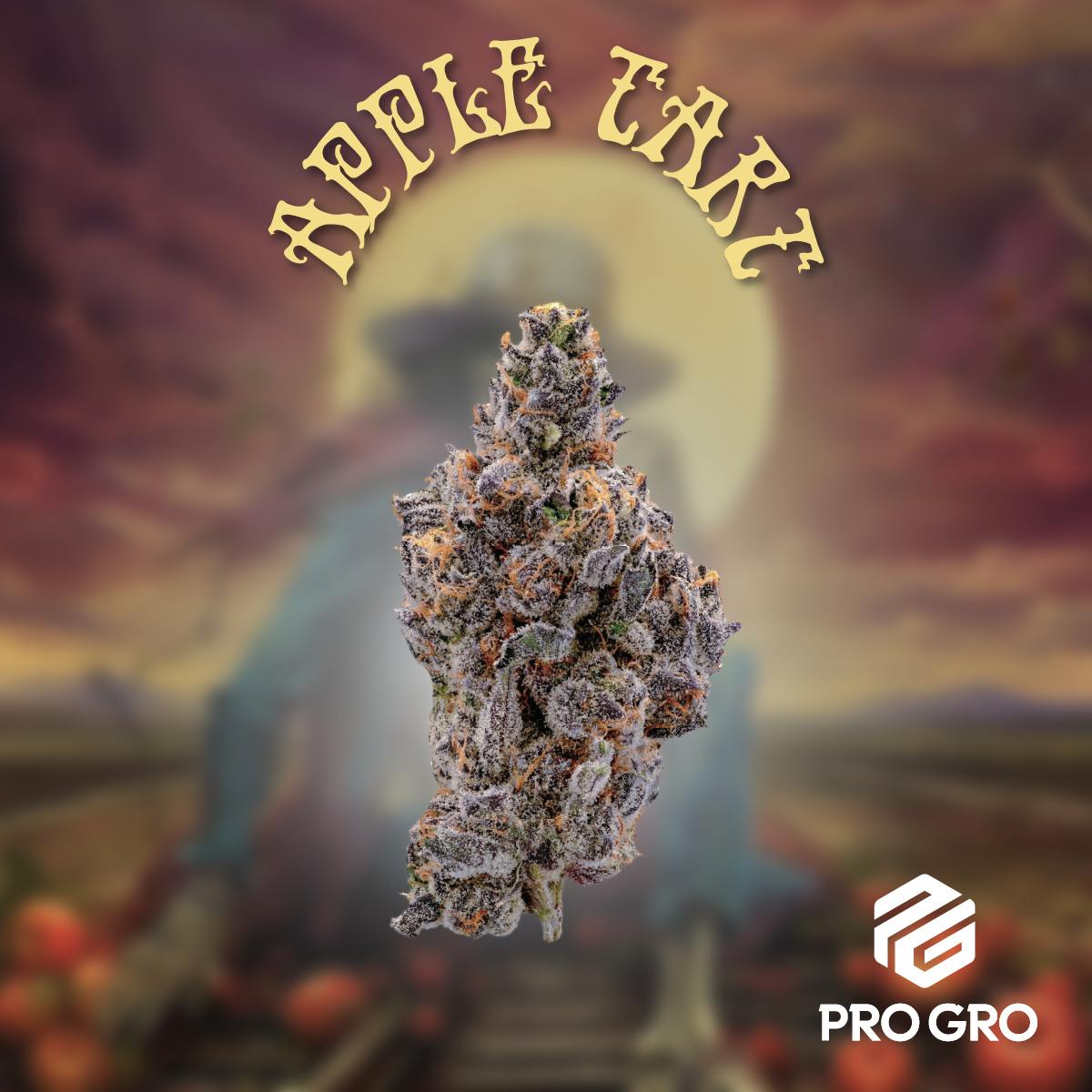 Apple Tart | Pro Gro | Bulk Flower