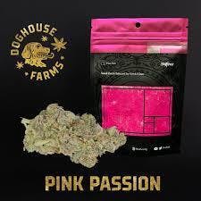 Pink Passion | Doghouse | Bulk Flower