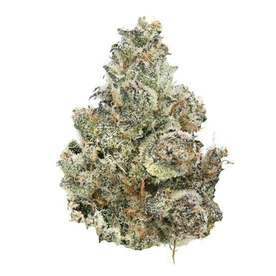 Cake Breath | Freedom Green Farms | Bulk Flower