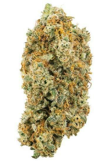 Bubble Gum Cake | Freedom Green | Deli Flower