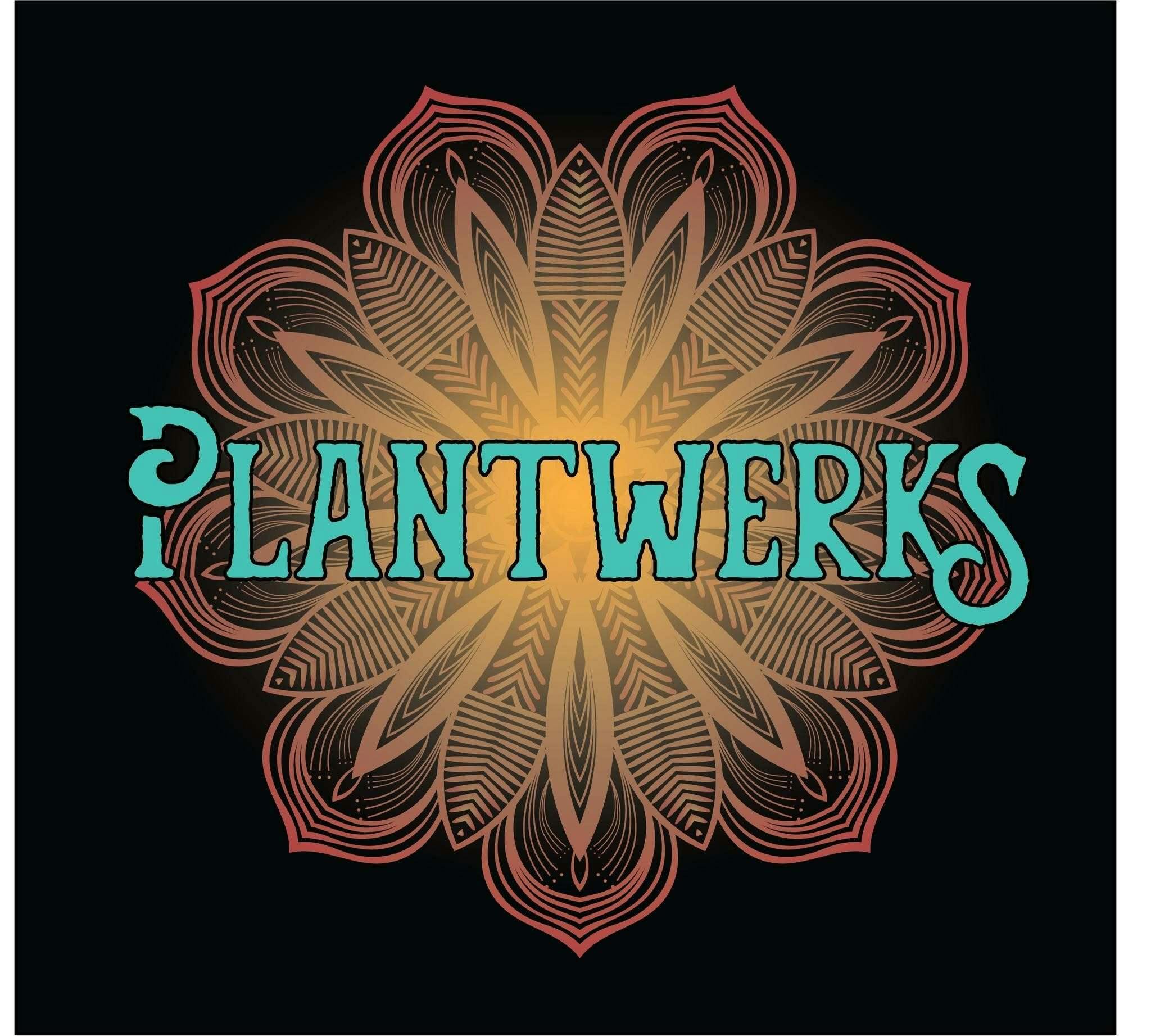 Plantwerks | 3.5g | Orange Cookie Chem cannabis product