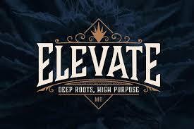 Elevate: Concentrate | Sherbet Honey | Cured Wax