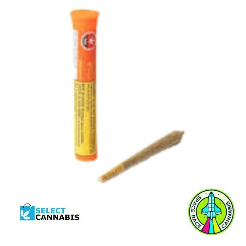 (1 x 1g)