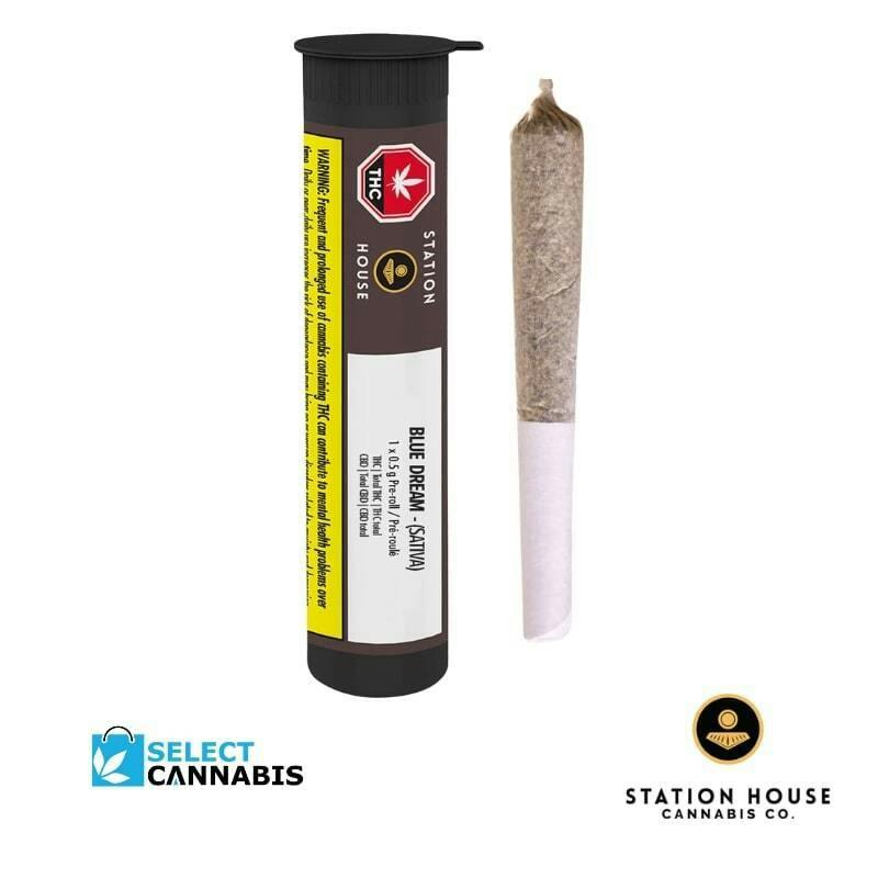 (1 x 0.5g)