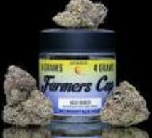 FARMERS CUPS- 4G HASH BURGER
