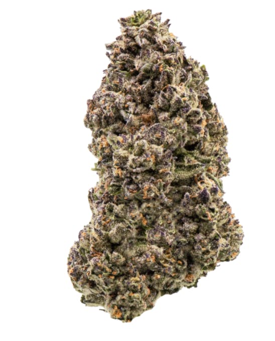 Mendo: Gelato X