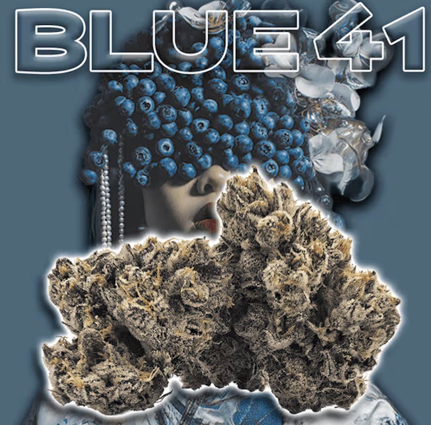 Green Dragon: Blue 41