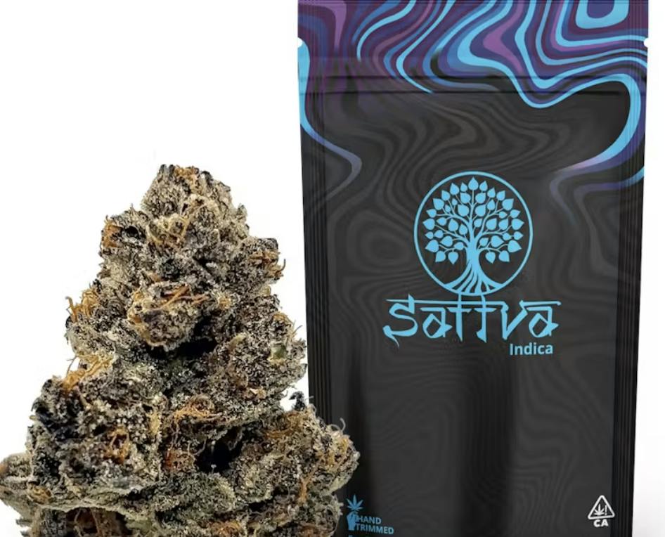 SATTVA: Rocket Pop