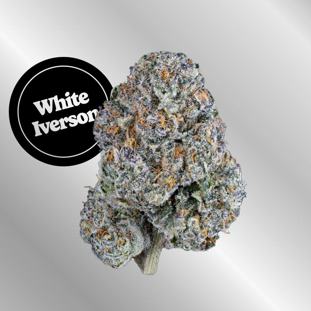 Kind Tree White Iverson Reserve Buds 3.5g