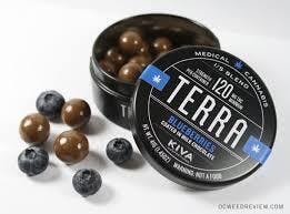 Kiva Terra Bites Milk Chocolate Covered Blueberry Bites 100mg