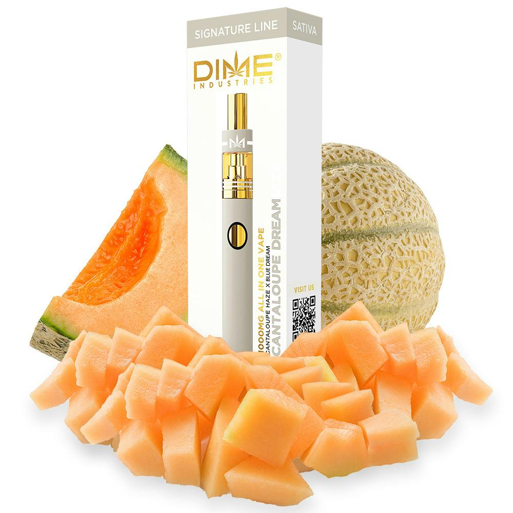 Dime Cantaloupe Dream Disposable 2g