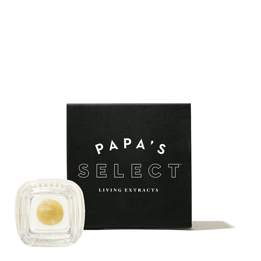 Platinum: Platinum Lantz Premium Live Rosin - 1 g