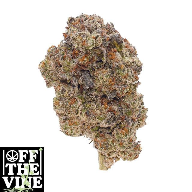White Truffle - 14 g