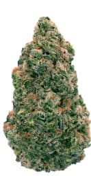 Back Forty - Wedding Pie 28G - Dried Flower