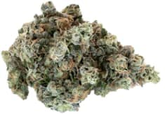 Woody Nelson - Country Club 14g - Dried Flower