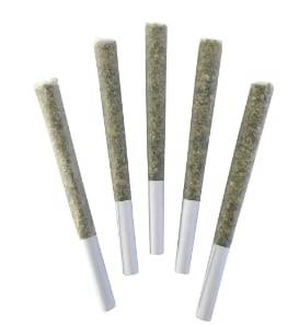 DEALR - Chemical Romance Pre-Rolls - 5x0.5g
