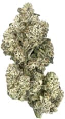 HighXotic - Royal Dive #5: Purple Zombie 3.5g - Dried Flower