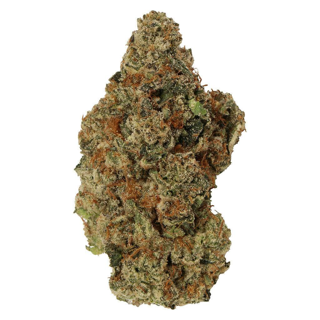 Carmel | Jelly Donut | 14g