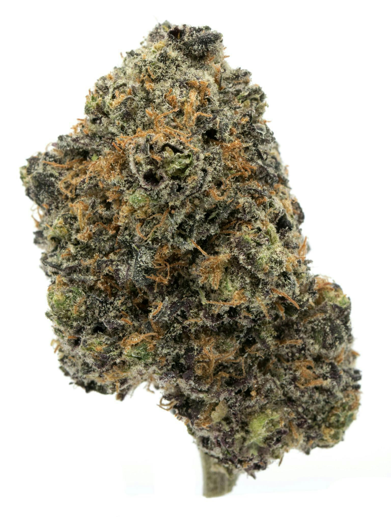 123 GROW | Buds | Runtz