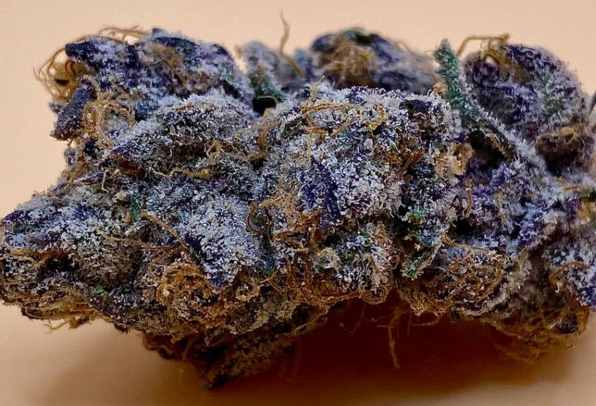 DELUXX CANNABIS | Buds | Candy Fumez
