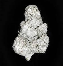 DETOUR | Bulk Snowballs | White Widow