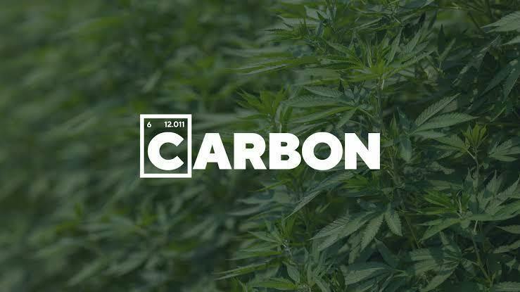 CARBON | Buds | Hawaiian Plushers