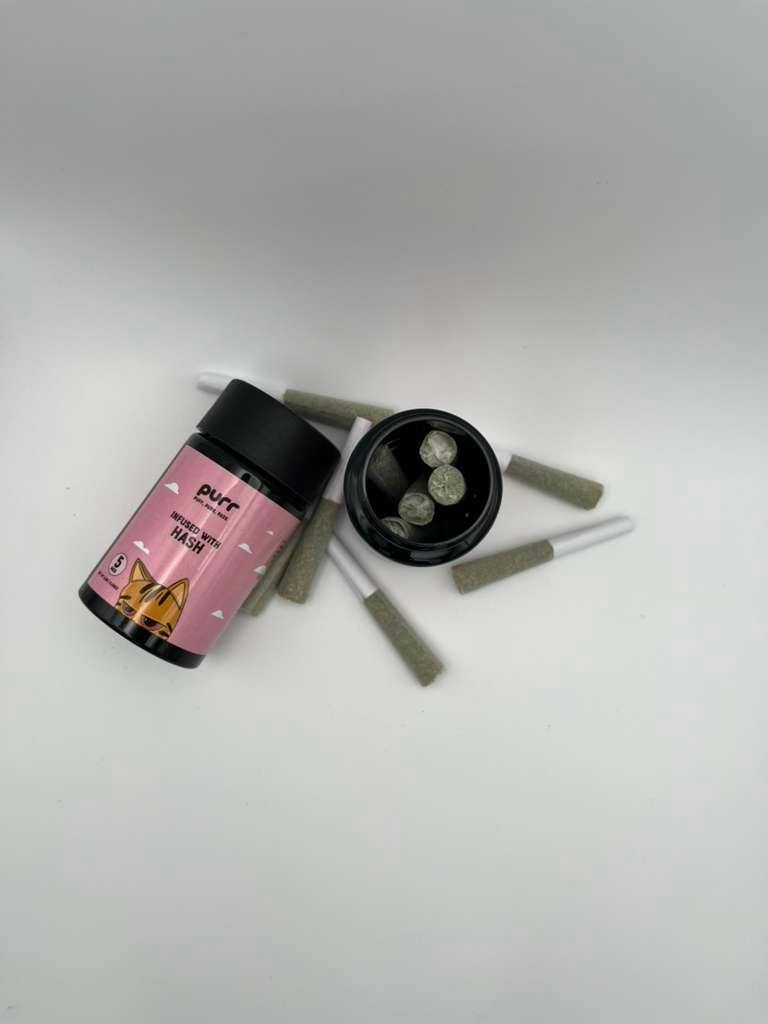 PURR | Infused Pack | Baby Hash | Pine Runtz