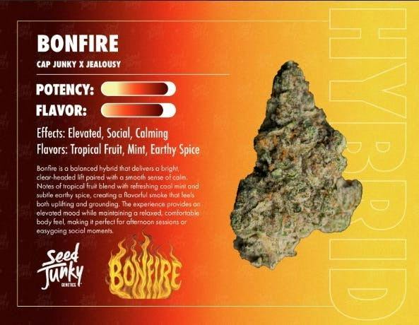 SEED JUNKY | Buds | Bonfire