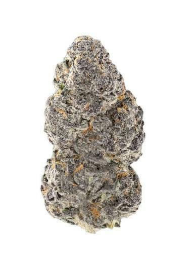 MITTEN DISTRO | Buds | Grape Cream Cake