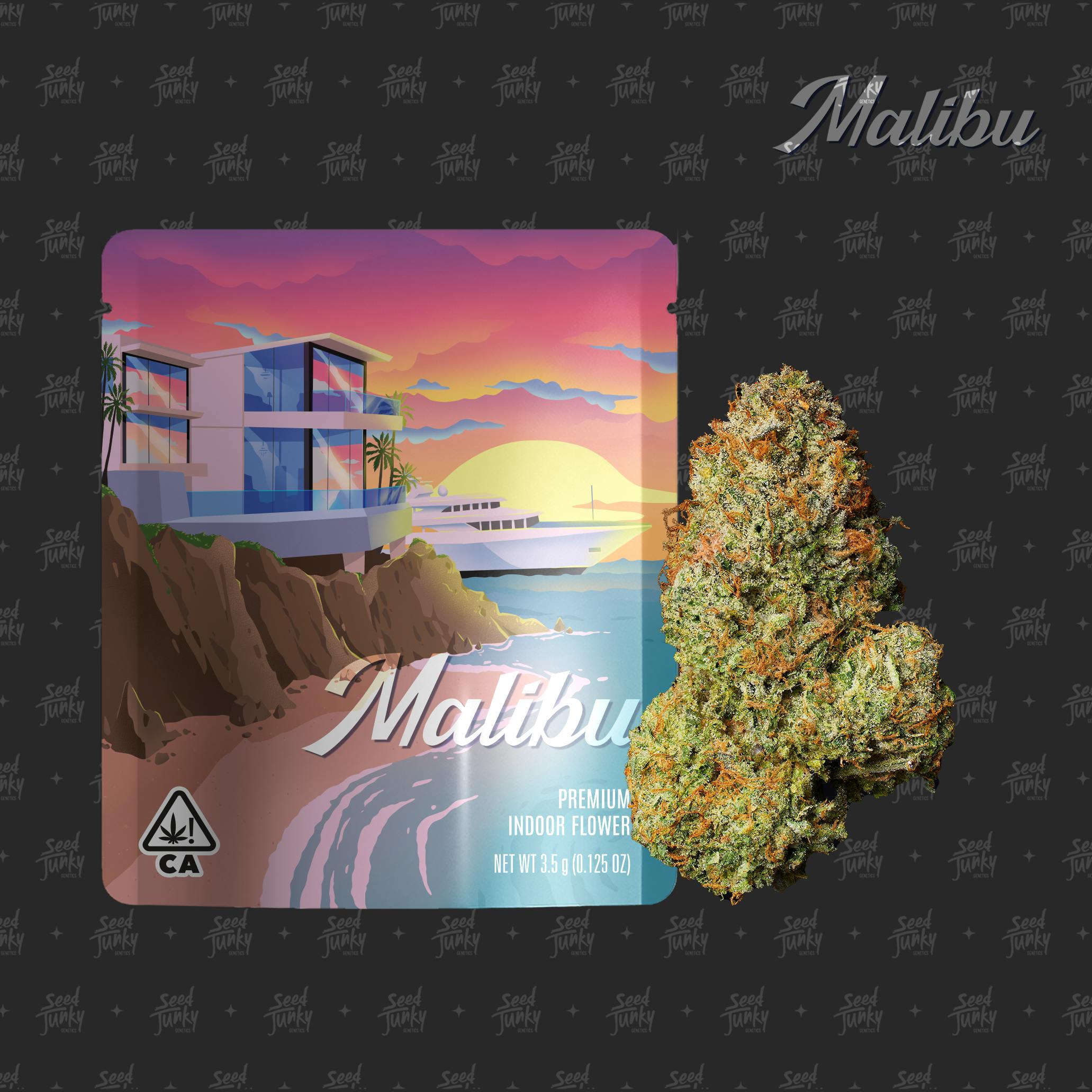 Seed Junky - Malibu - Indoor